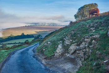 North Yorkshire Autumn morning.jpg